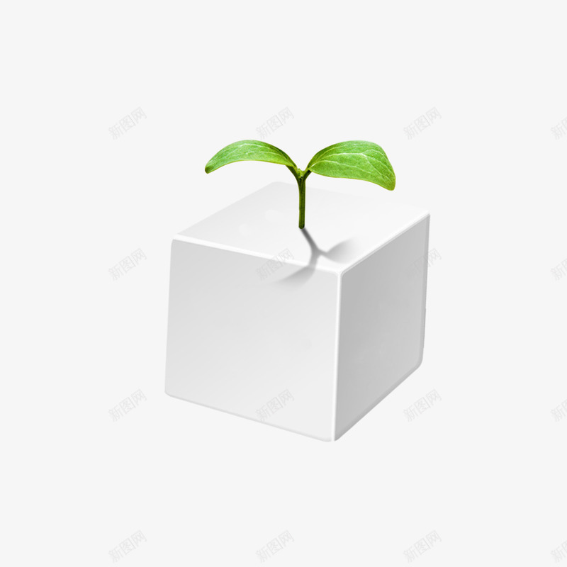 方块盒子长着植物psd免抠素材_新图网 https://ixintu.com 方块 植物 生长 白盒子