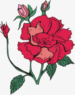 手绘红色牡丹花朵美景素材