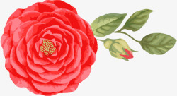 精美红花卡通唯美精美红花矢量图高清图片