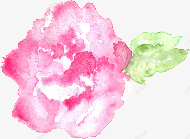 手绘花卉png免抠素材_新图网 https://ixintu.com 唯美花卉 手绘 手绘花卉 手绘花草 月季花 水墨花卉 水彩花卉 牡丹 玫瑰花 绿色植物 花卉 花卉设计 花草 飘落