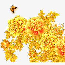 美丽画景蝴蝶与花的友谊高清图片