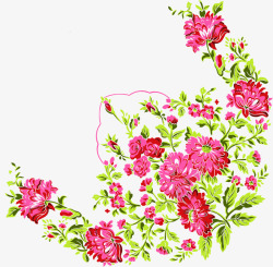 开粉色花的植物手绘粉色牡丹花开植物高清图片