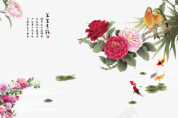 牡丹金鱼年年有余高清图片