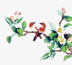 绿色中国风花鸟装饰图案素材