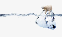 水上动物水上趴在冰块上的北极熊高清图片
