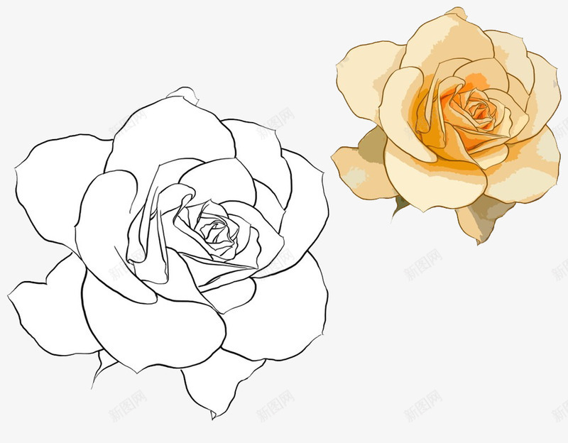两朵白玫瑰图标png_新图网 https://ixintu.com 手绘 爱情 爱没有距离 白玫瑰 白玫瑰手绘 白色 盛开 绿色 美丽 高洁