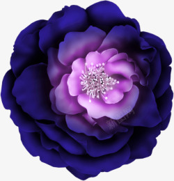 大花牡丹紫色大花高清图片