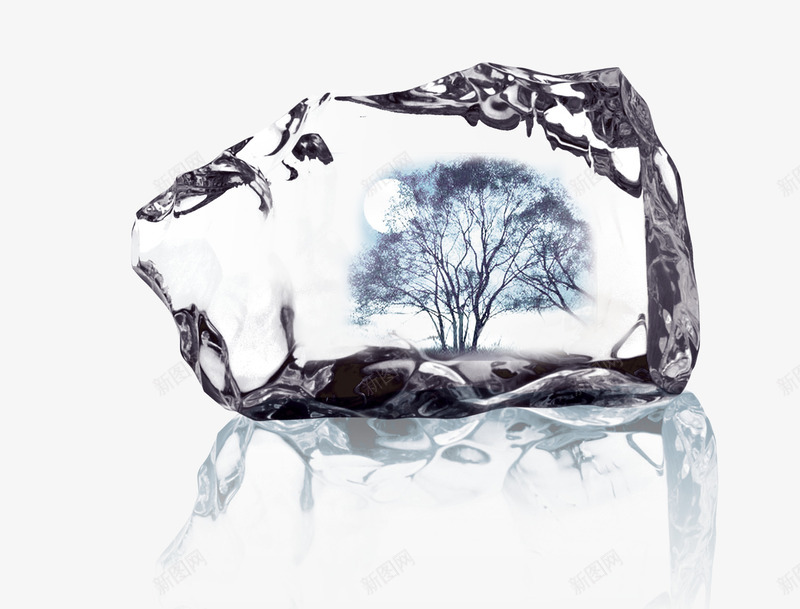 水晶里的树png免抠素材_新图网 https://ixintu.com 冰块 树木 水晶 透明