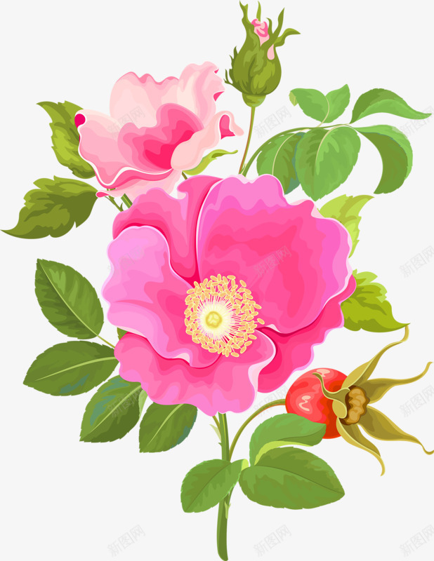 红色牡丹花朵水墨花朵png免抠素材_新图网 https://ixintu.com 水墨 牡丹花 红色 花朵