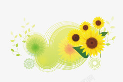 卡通圆形半透明底太阳花向日葵花素材