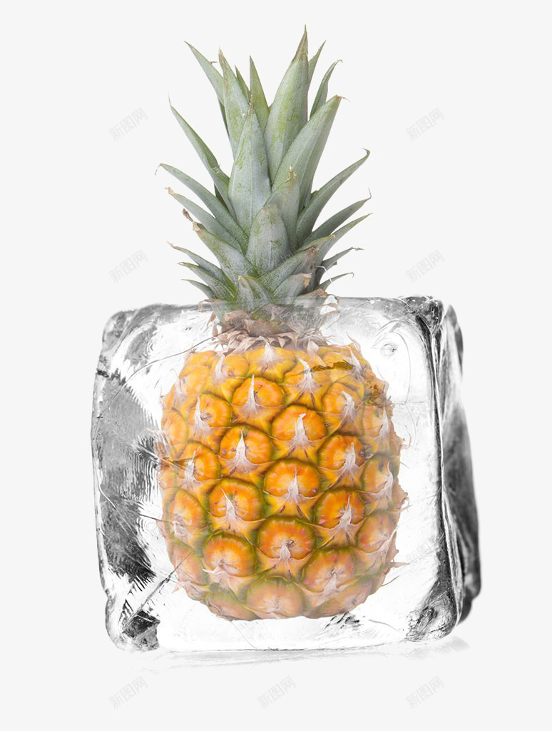冰块里的菠萝png免抠素材_新图网 https://ixintu.com 冰块 水果 菠萝 黄色
