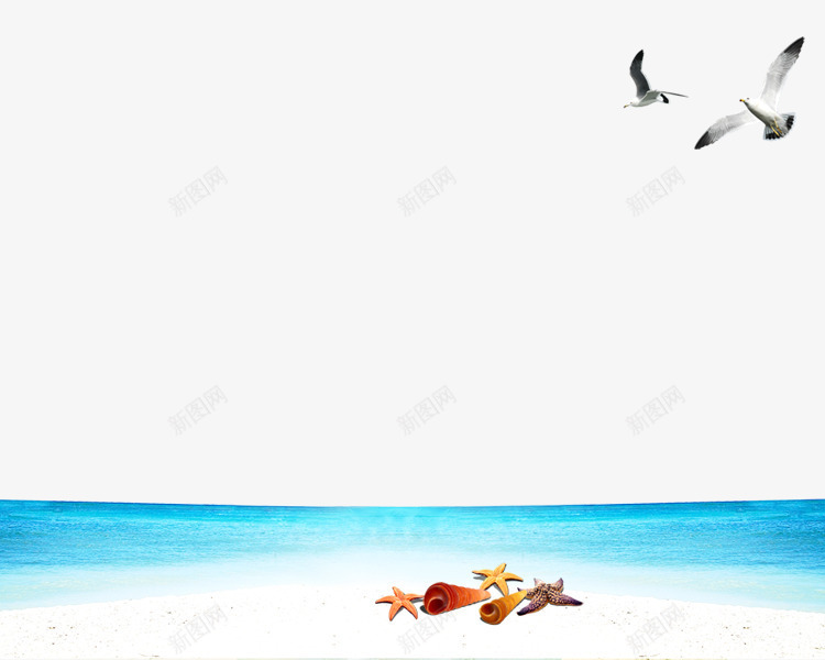 海滩海鸥png免抠素材_新图网 https://ixintu.com 娴烽弗 娴锋哗 娴锋磱鐢熺墿 海洋生物 海滩 海鸥 蓝色 钃濊壊