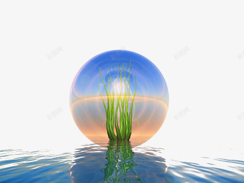 水面上的海藻png免抠素材_新图网 https://ixintu.com 水晶球 水藻 水面 波纹 海洋 海澡 海生物 海藻