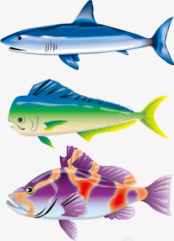 色彩丰富的海鱼矢量图素材