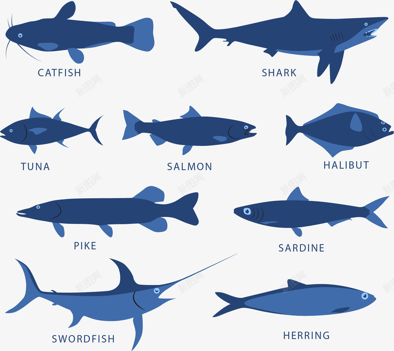 深蓝色海洋鱼类png免抠素材_新图网 https://ixintu.com 扁平鱼 海洋生物 海鱼 深蓝 矢量素材