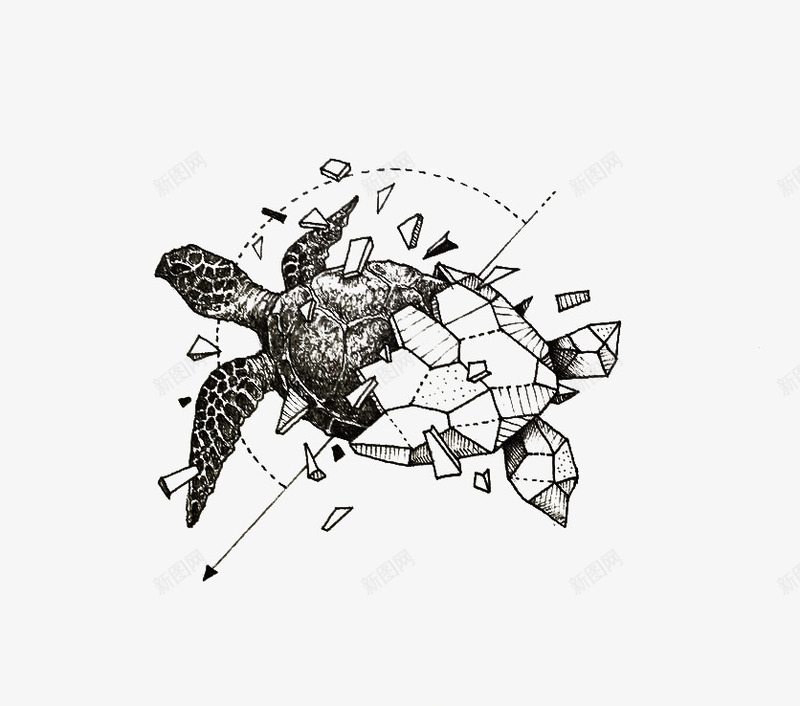 海龟png免抠素材_新图网 https://ixintu.com 手绘 海洋生物 海龟 黑色
