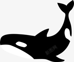 跃动鲸鱼黑色扁平大海鲸鱼高清图片