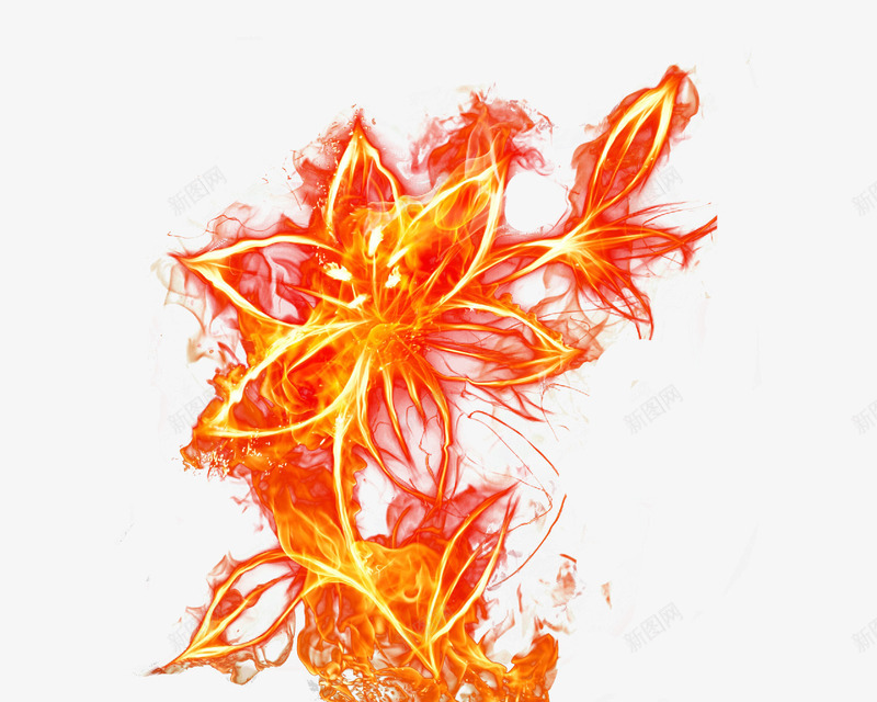 火焰花png免抠素材_新图网 https://ixintu.com 火焰 火焰图片 绽放 花 花图片 花的 花的素材