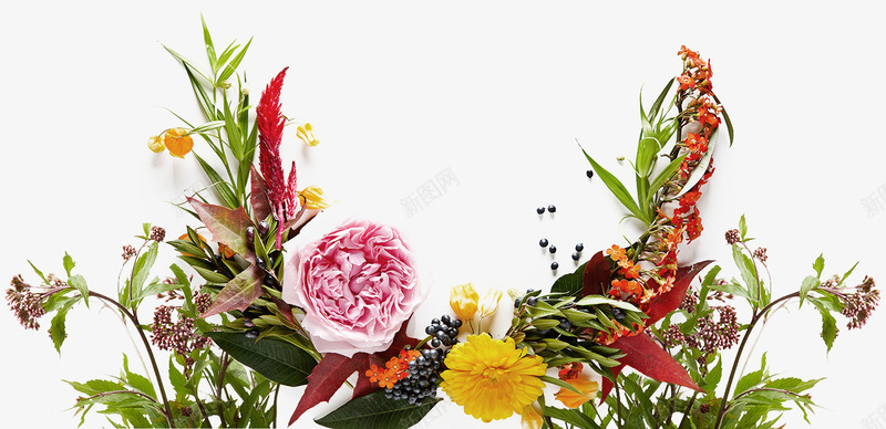 透明色彩鲜艳的花朵png免抠素材_新图网 https://ixintu.com 色彩 花朵 透明 鲜艳