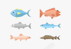 扁平化鱼类海洋生物素材