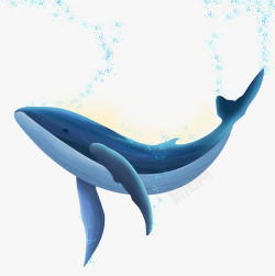 海洋插图国际海洋日手绘海洋动物装饰插图高清图片