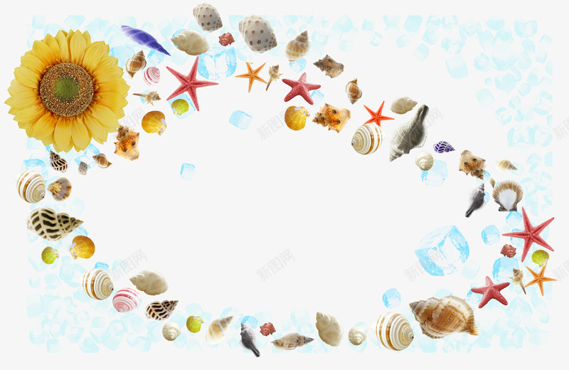 贝壳装饰背景png免抠素材_新图网 https://ixintu.com 冰块 海星 背景 装饰 贝壳