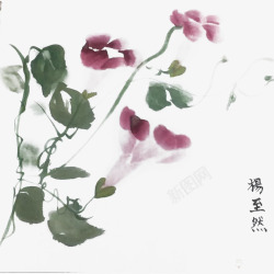 水墨牵牛花素材