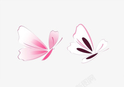 蝴蝶图案花纹色彩素材