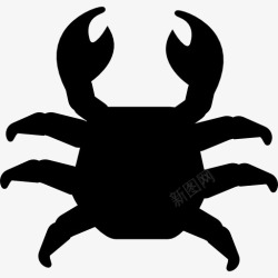 海上动物螃蟹顶视图标高清图片
