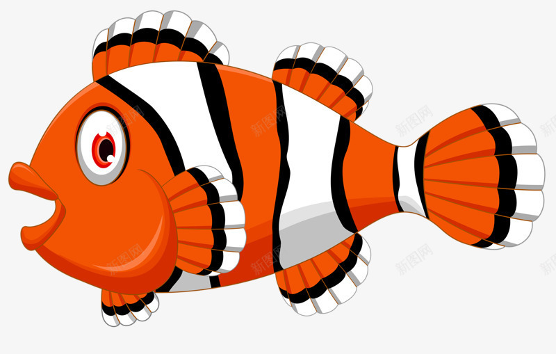 红色条纹小丑鱼png免抠素材_新图网 https://ixintu.com 小丑鱼 条纹 海洋生物 红色