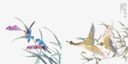 中国风花鸟素材
