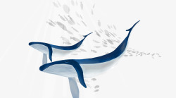 生物多样性国际日手绘装饰插画国际海洋日海底生物高清图片