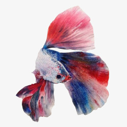 彩色的飞鱼飞鱼水彩手绘画片高清图片