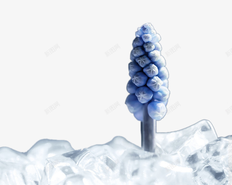 创意冰山上的冰树png免抠素材_新图网 https://ixintu.com 冰块 创意冰山上的冰树 模型 雪球