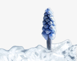 创意冰山上的冰树创意冰山上的冰树高清图片