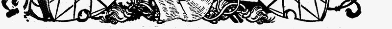 骷髅头与乌鸦印花png免抠素材_新图网 https://ixintu.com T恤印花 T恤印花图案 乌鸦印花 服装印花 服装印花设计 骷髅头