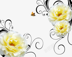 白黄白黄相间玫瑰花高清图片