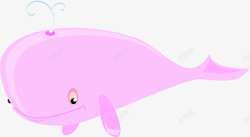 粉色鲸鱼png免抠素材_新图网 https://ixintu.com 喷水 海洋生物 鲸鱼