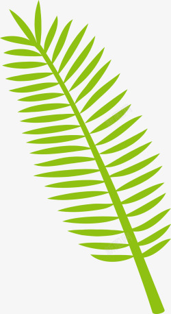 热带绿色植物棕榈叶素材