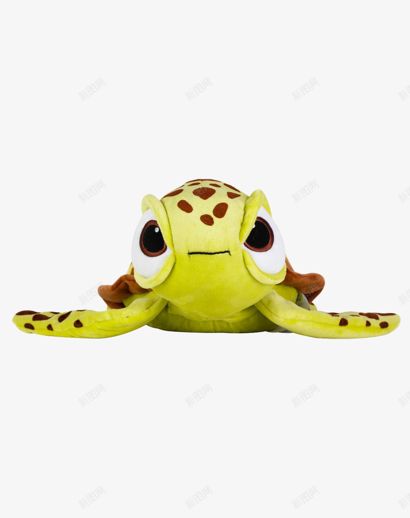 斑点小海龟png免抠素材_新图网 https://ixintu.com 产品实物 动物 海洋 趴趴小龟