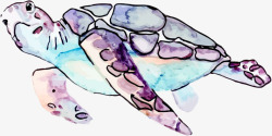 手绘彩色花纹海龟素材