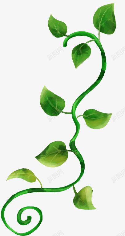 绿色藤蔓装饰png免抠素材_新图网 https://ixintu.com 植物 绿叶 绿色 藤蔓 装饰