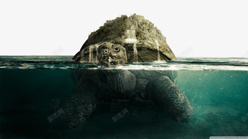 创意乌龟小岛图png免抠素材_新图网 https://ixintu.com 乌龟小岛图 乌龟背景 创意图案 海洋