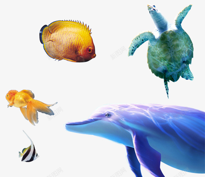 海洋装饰psd免抠素材_新图网 https://ixintu.com 乌龟 海底 海底世界 海底装饰 海豚 鱼