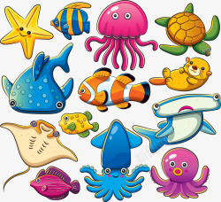 13种13种海洋生物高清图片