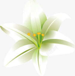 百合花藤蔓手绘百合花玉雕百合花矢量图高清图片