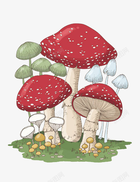 毒蘑菇卡通手绘png免抠素材_新图网 https://ixintu.com 创意 卡通动画 卡通手绘 毒蘑菇 绘画 菌类