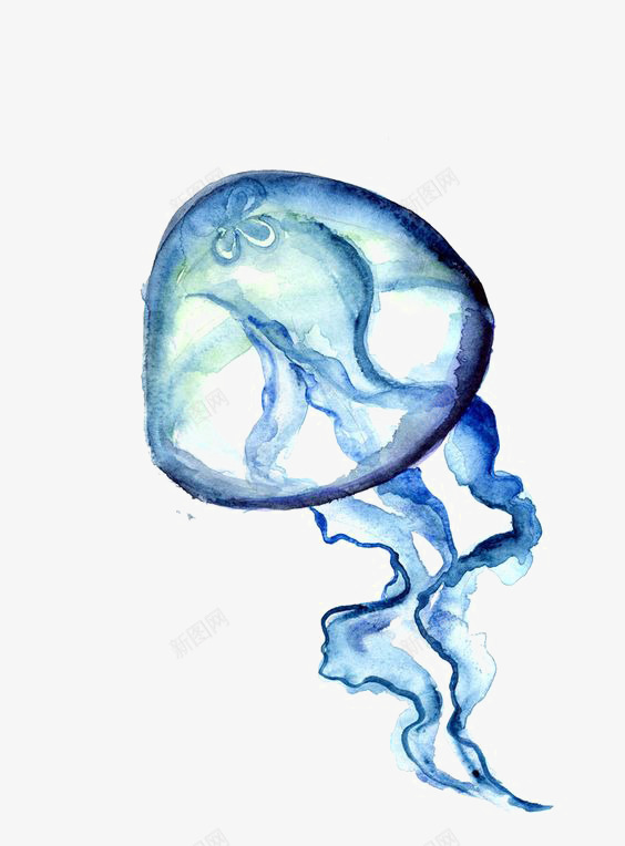 水母png免抠素材_新图网 https://ixintu.com 动物 卡通 彩色水母 手绘 海洋 红色水母 蓝色水母