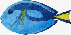 水彩海鱼海洋生物手绘蓝色小鱼高清图片