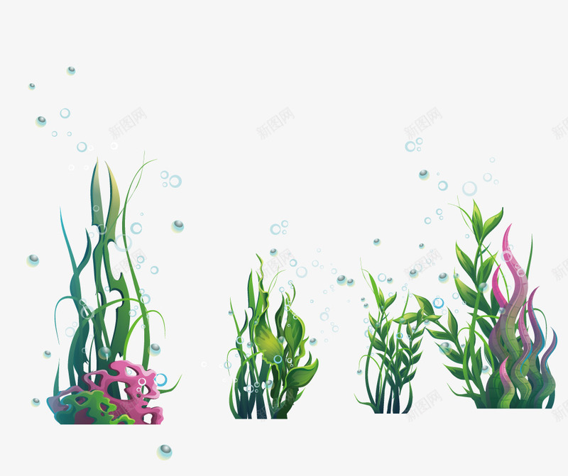 海洋海藻类植物物和水泡png免抠素材_新图网 https://ixintu.com 植物物 水泡 海洋 海藻类